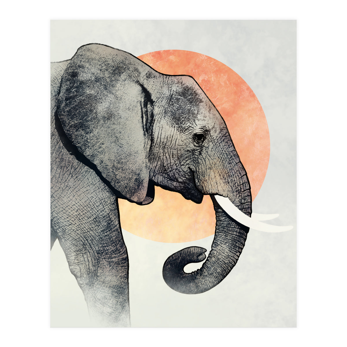 Elephant (Print Only)