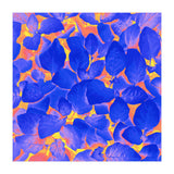 Supercontrast (Print Only) thumbnail