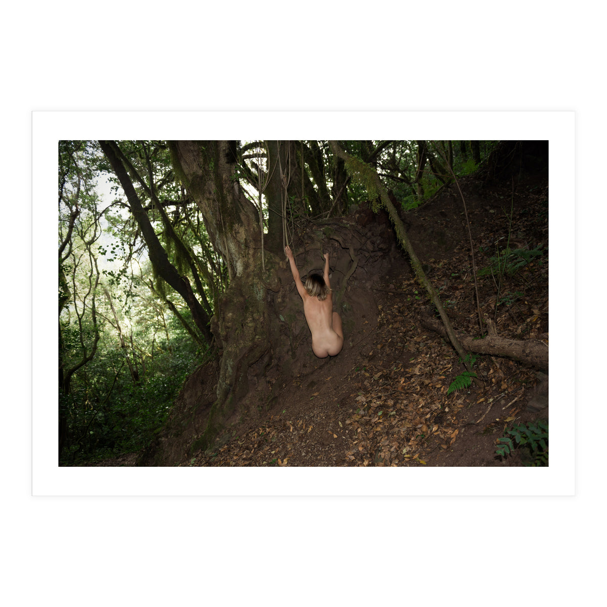 Tropical Monkeys (Print Only)