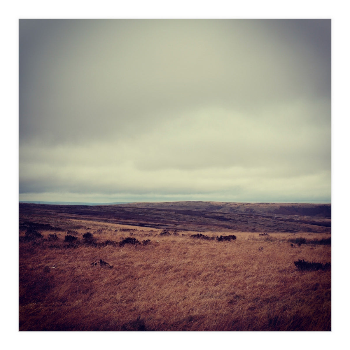 Bleak winter landscape of Saddleworth Moor  (Print Only)
