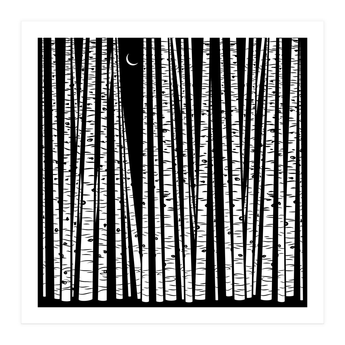 See the Forest... (Print Only)