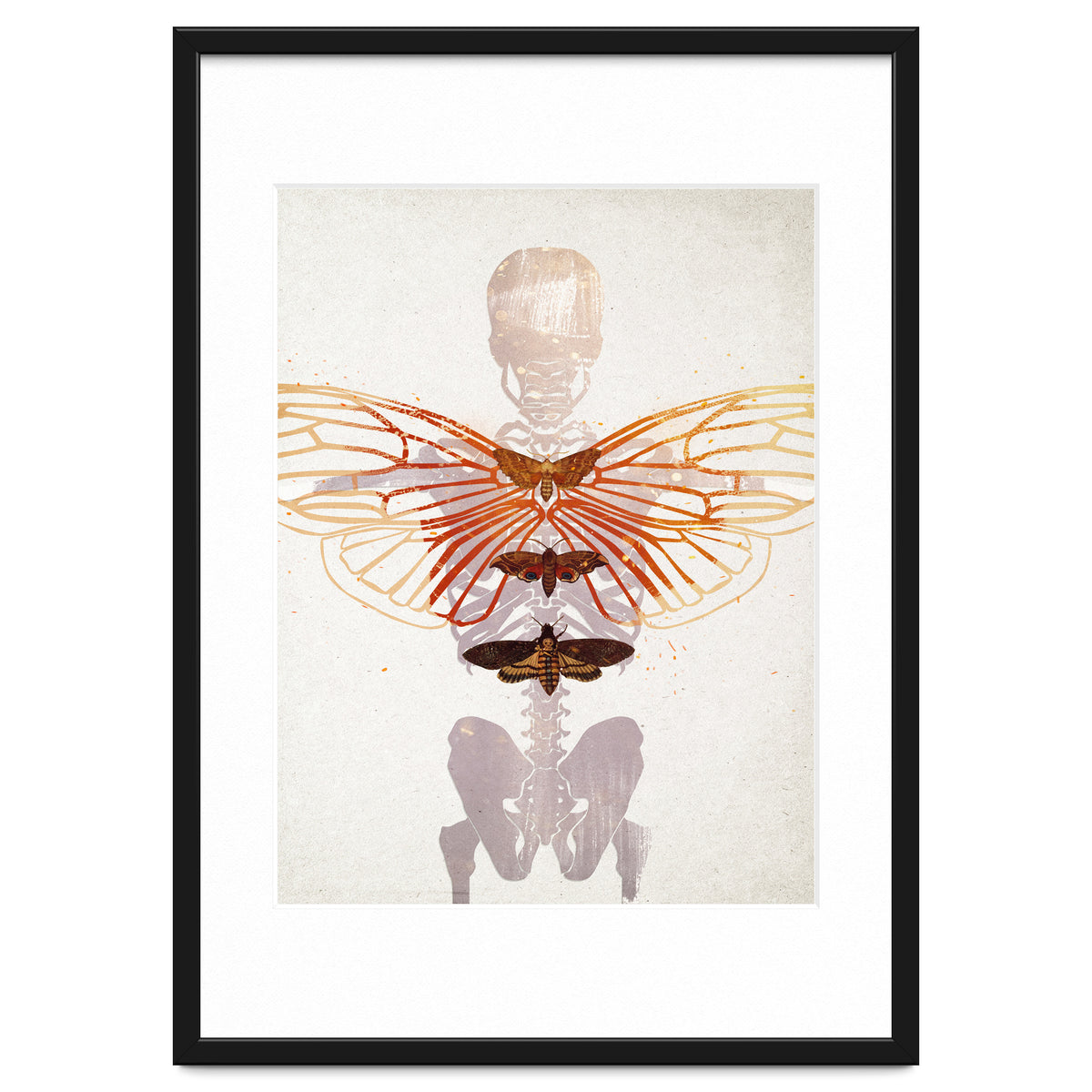 Ikarus - Like a Moth to the Flame