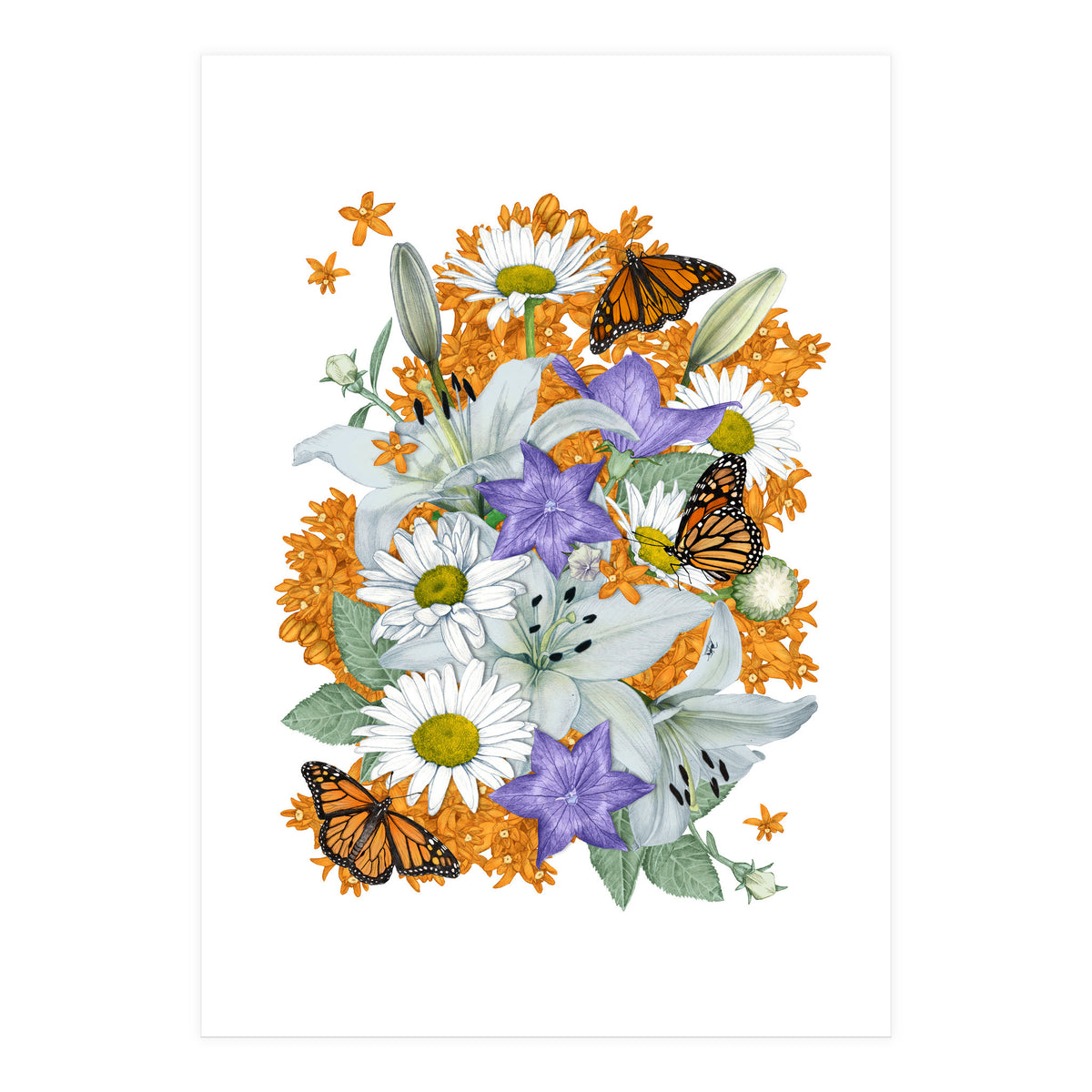 Lillies and Monarchs (Print Only)