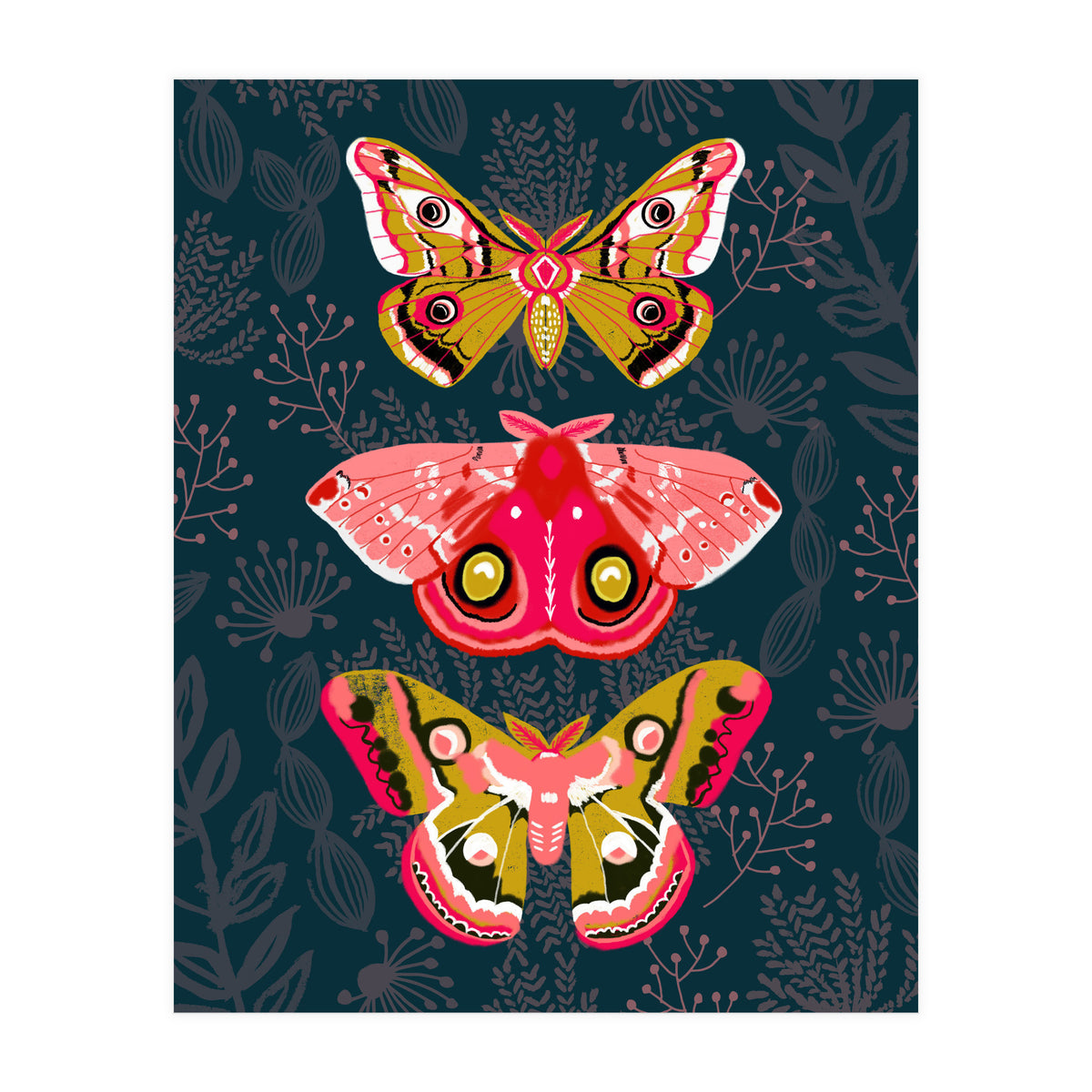 Lepidoptery Study No. 4 (Print Only)