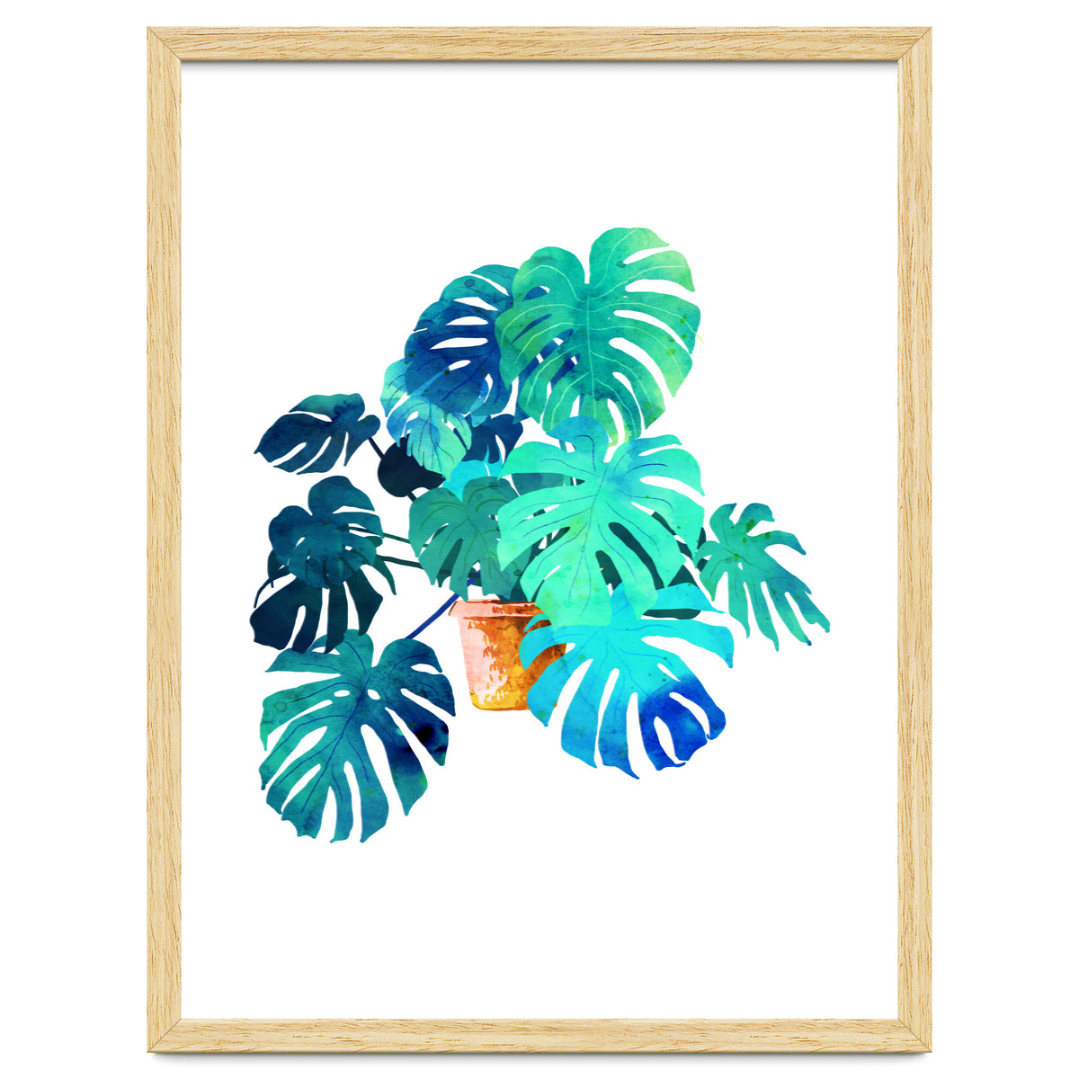 Monstera V2