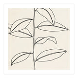 LEAF IN LINE 01 (Print Only) thumbnail