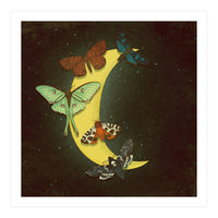 Moth moon (Print Only)