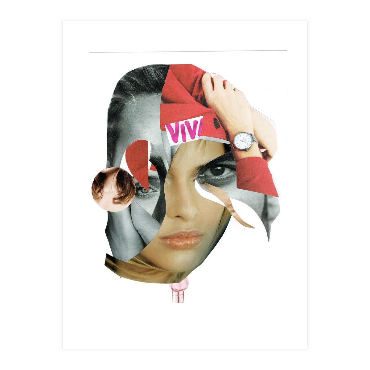 Another Portrait Disaster X (Print Only)