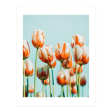 Estelle (Print Only) thumbnail