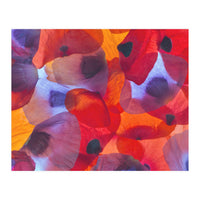 Poppy Petals (Print Only)