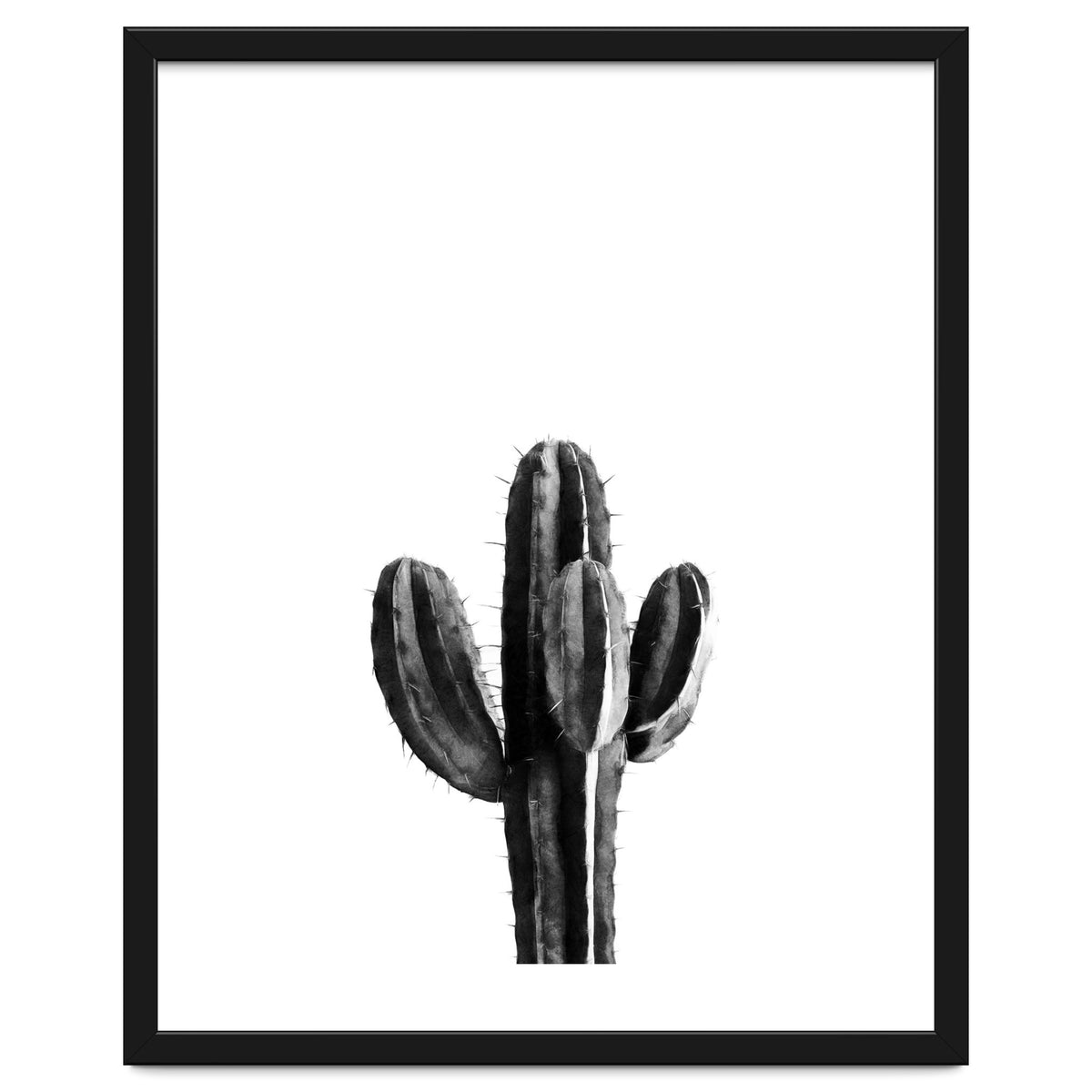 Cactus Black And White 03