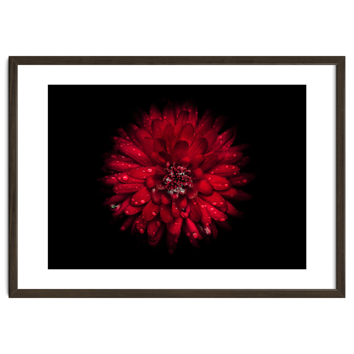 Backyard Flowers 45 Color Version