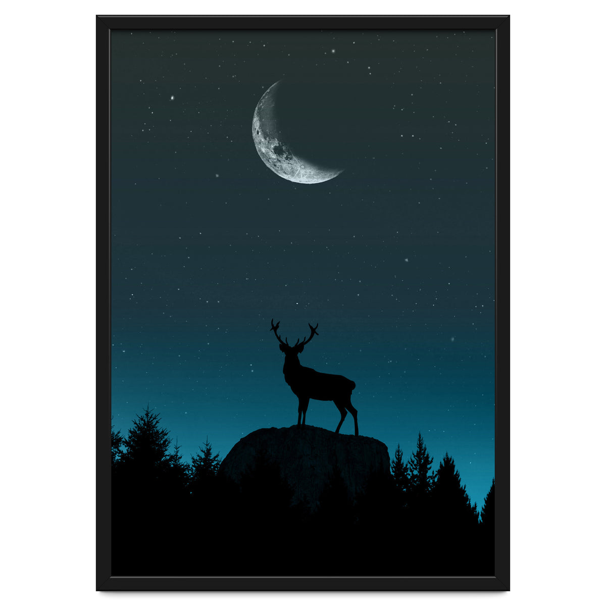 Wild Nature - Nocturne