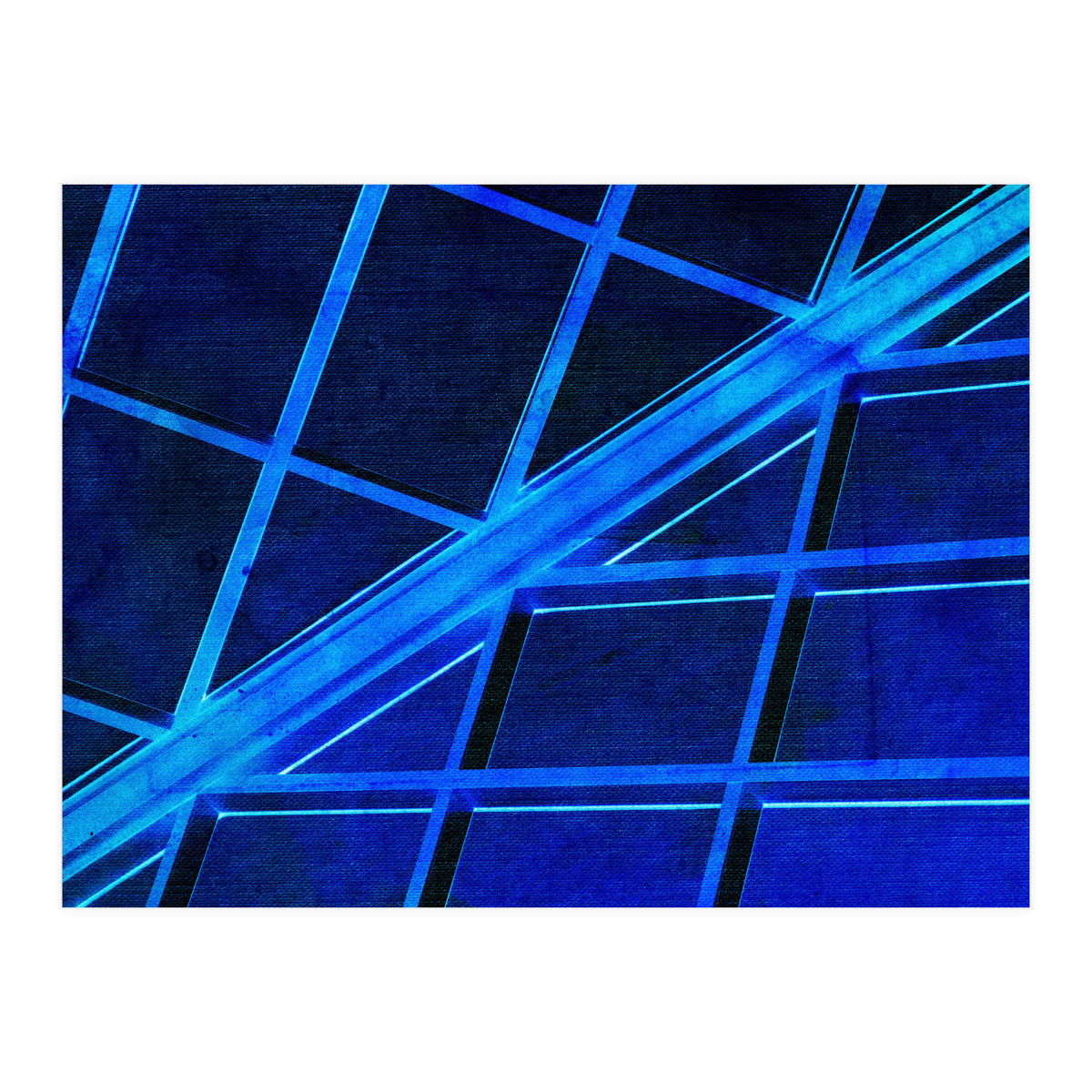 WTnight  (Print Only)