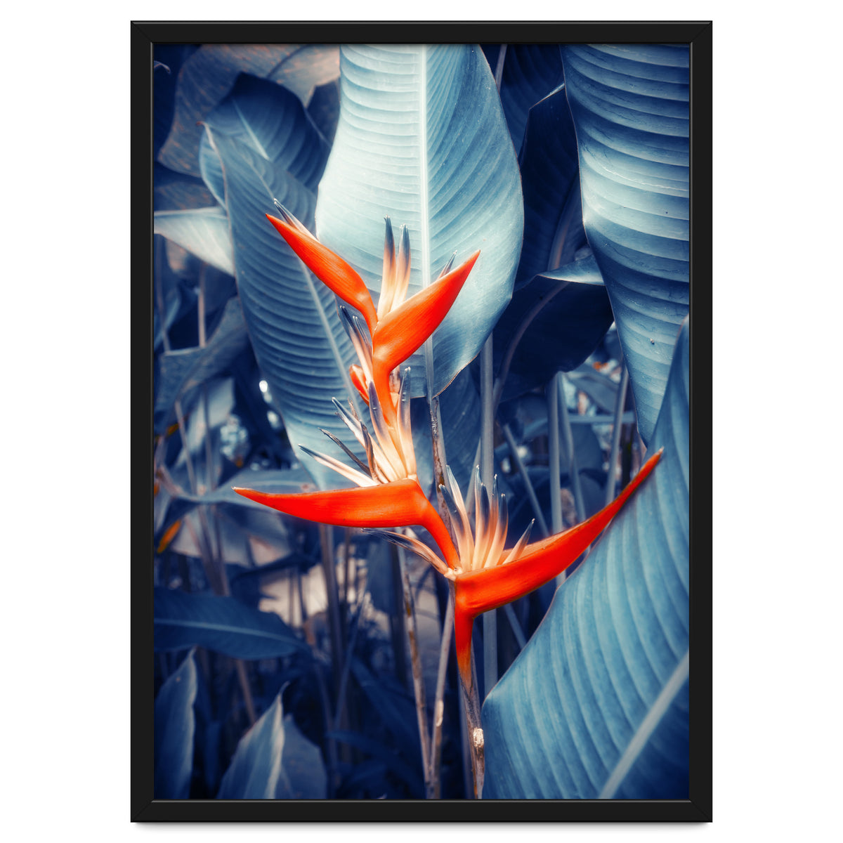 Parakeet Tropical Flower