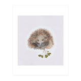 Echidna - Australian Animal Series (Print Only) thumbnail