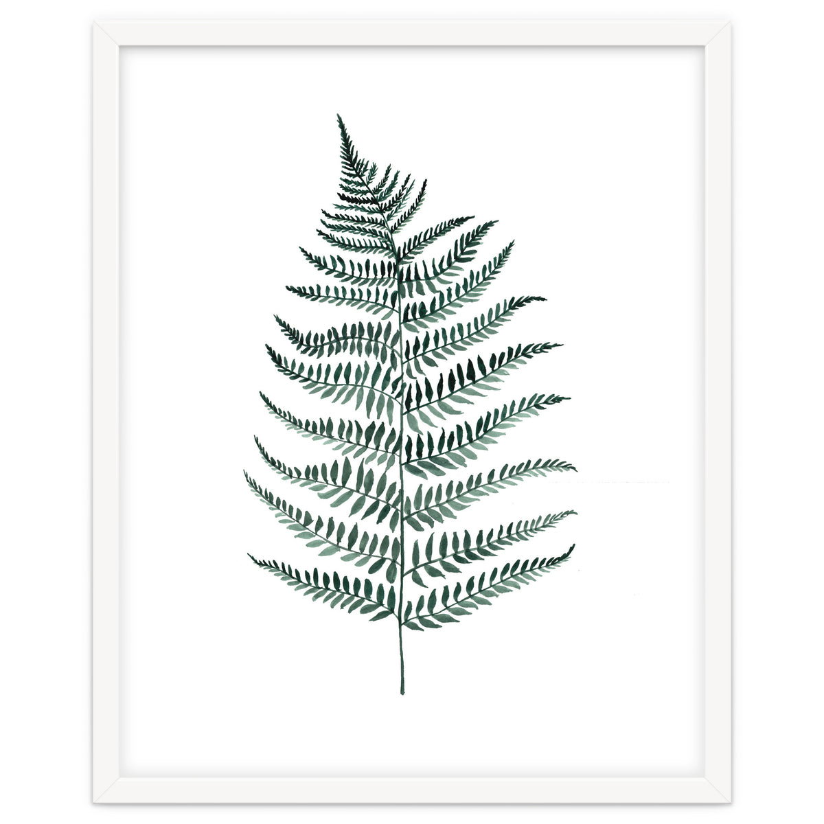 Botanical Illustration Silverfern