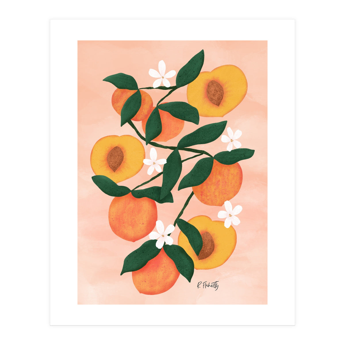Summer Peaches (Print Only)