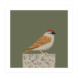 Sparrow  (Print Only) thumbnail