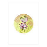 Circular Astrantia  (Print Only) thumbnail
