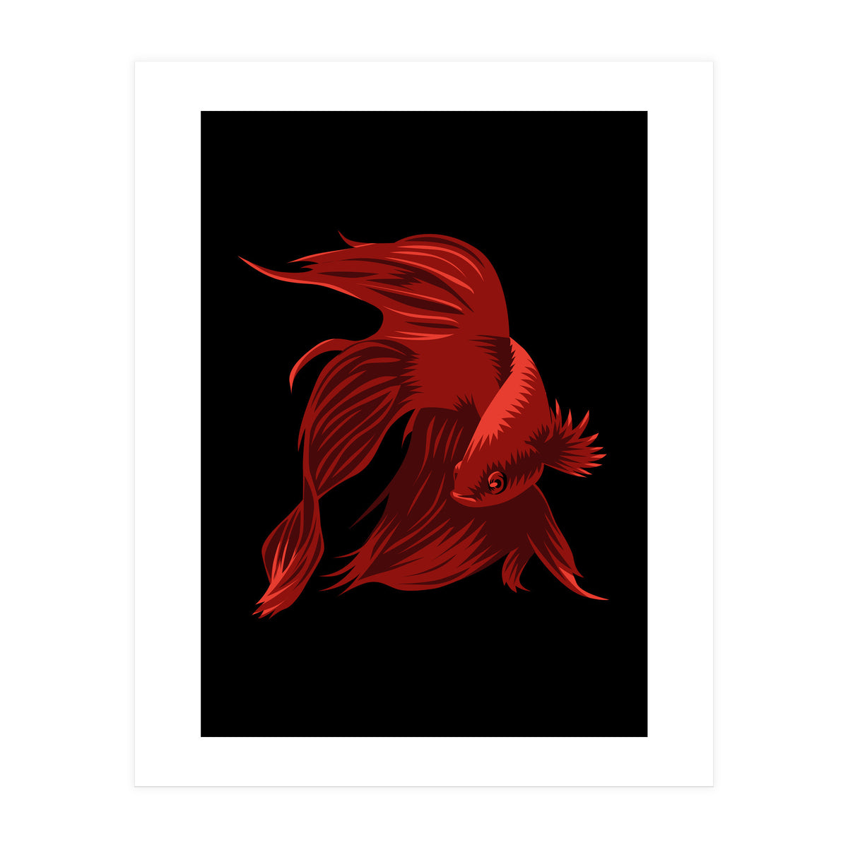 Betta (Print Only)
