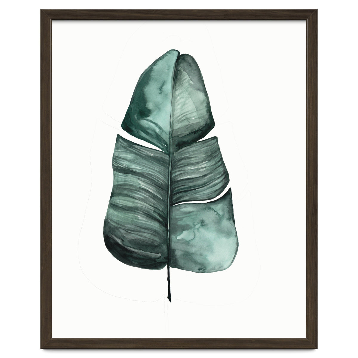 Botanical Illustration Banana Leaf