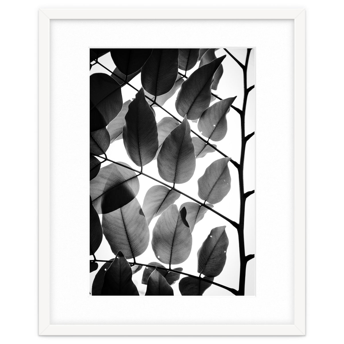 Branches and Leaves II