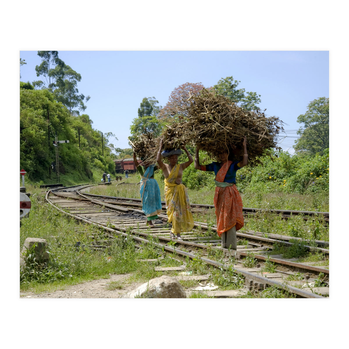 Nuwara Eliya, Sri Lanka (Print Only)