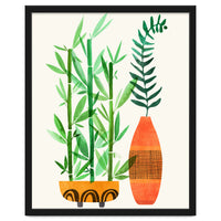Bamboo And Fern