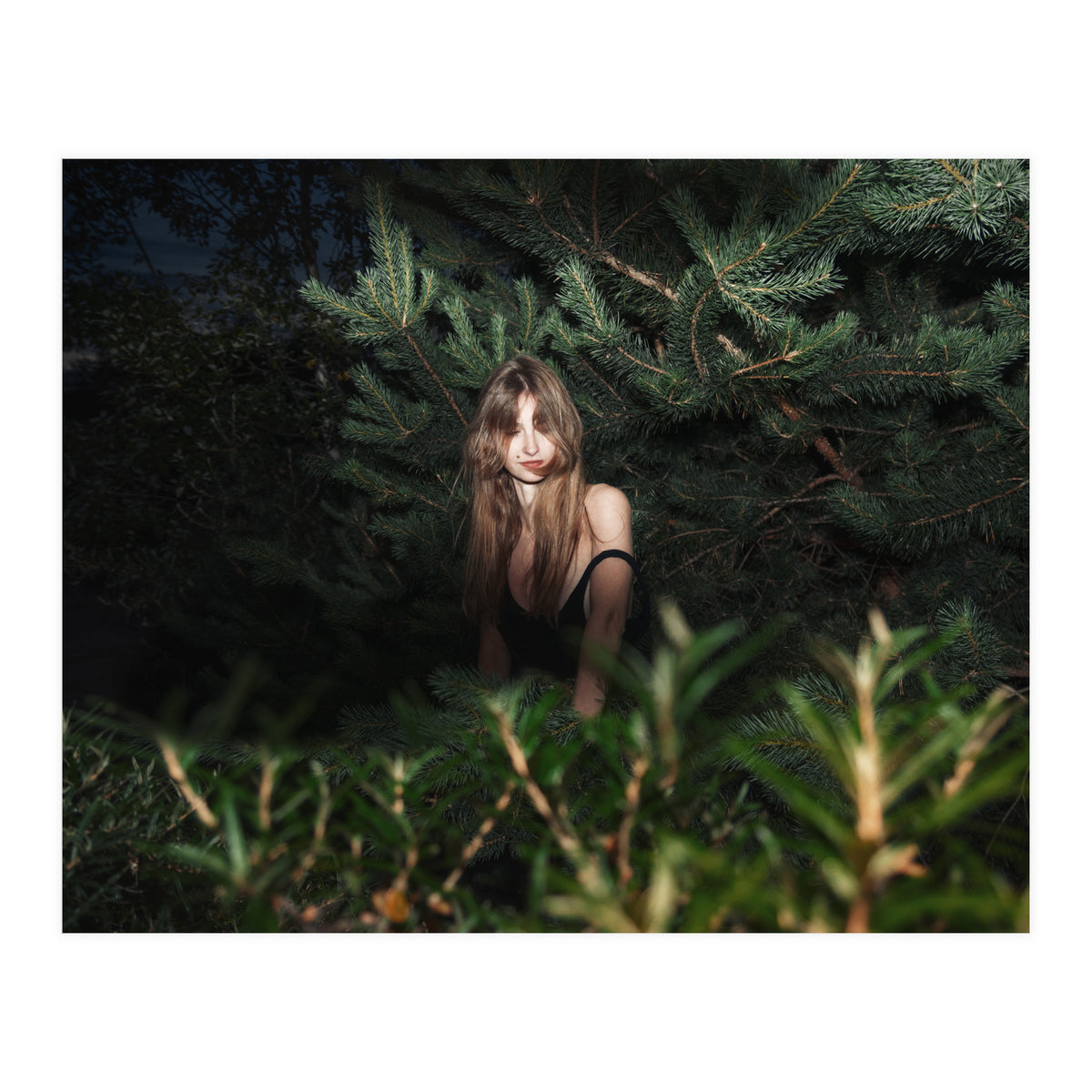 Hiding Game (Print Only)