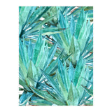 Agave  (Print Only) thumbnail