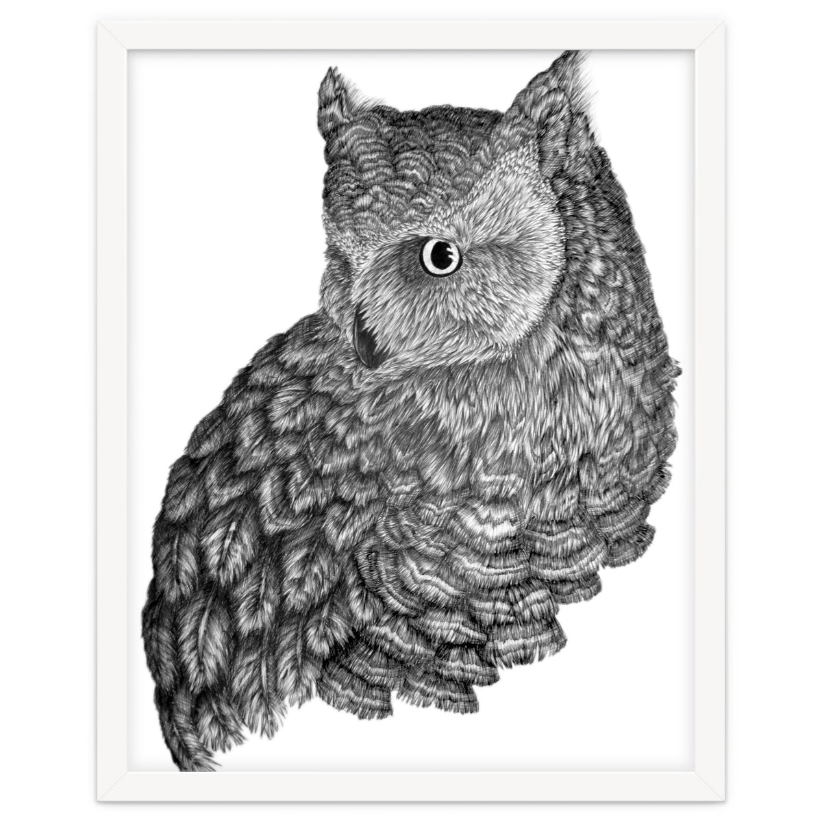 A Friend For Forsythe