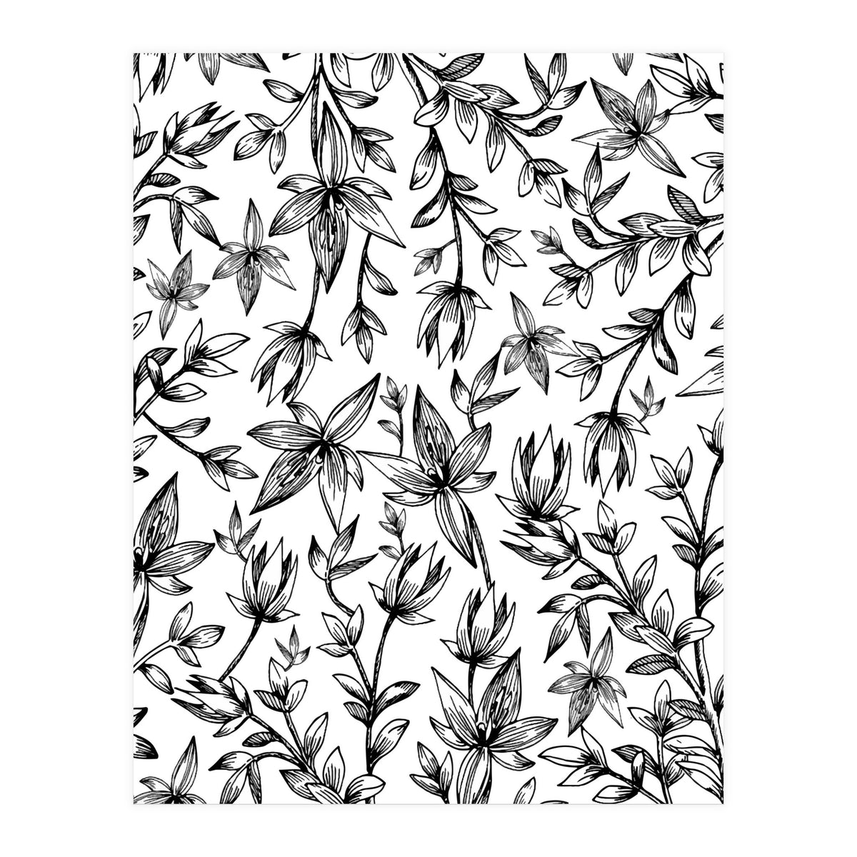 Veli V2 (Print Only)