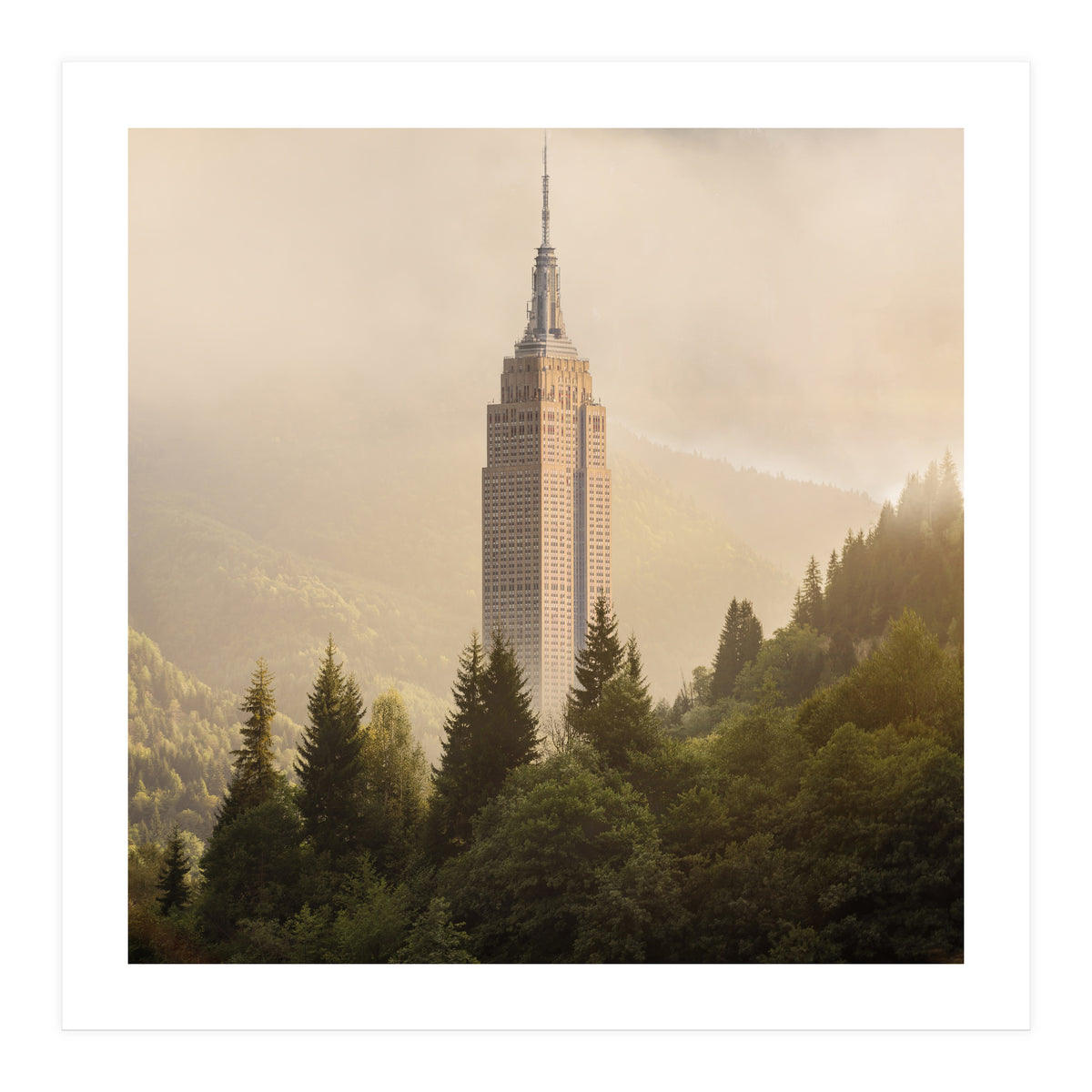 Forecity 4 (Print Only)