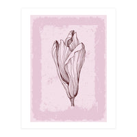 Magnolia Neutral Abstract Botanical (Print Only)