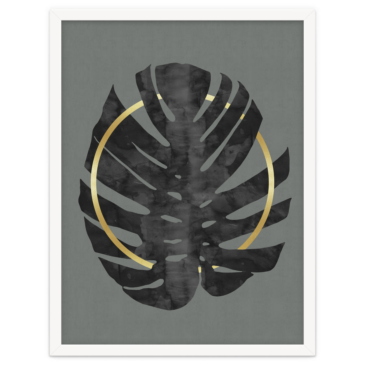 Monstera Deliciosa I