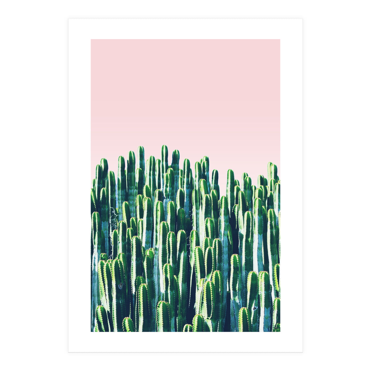 Cactus & Sunset II (Print Only)
