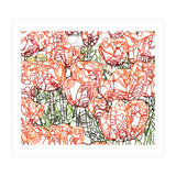 Tulip Garden (Print Only) thumbnail