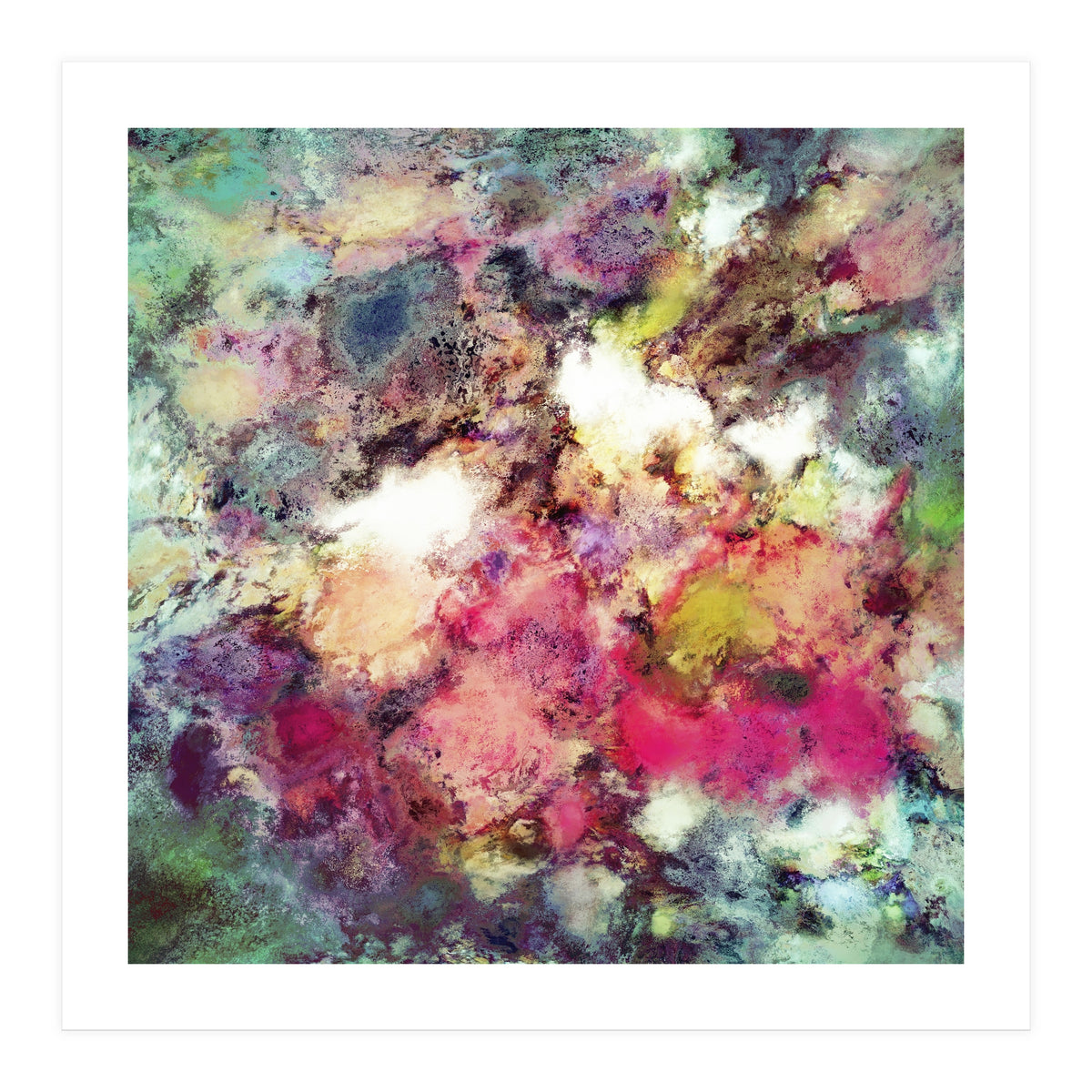 Raspberry Rocks (Print Only)