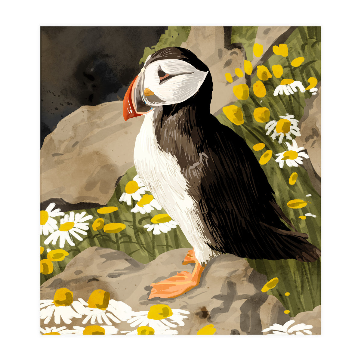 Puffin (Print Only)