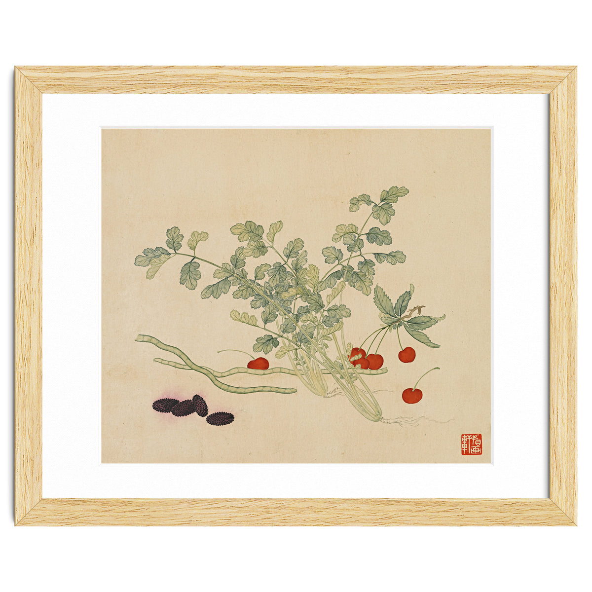 Wang Chengyu~flowers And Vegetables, Vegetables, Fruits, Beans, Red Beans, Cherries, Celery