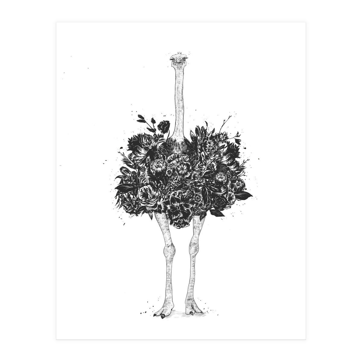 Floral Ostrich (Print Only)