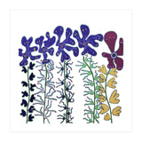 Hail The Flowers (Print Only) thumbnail