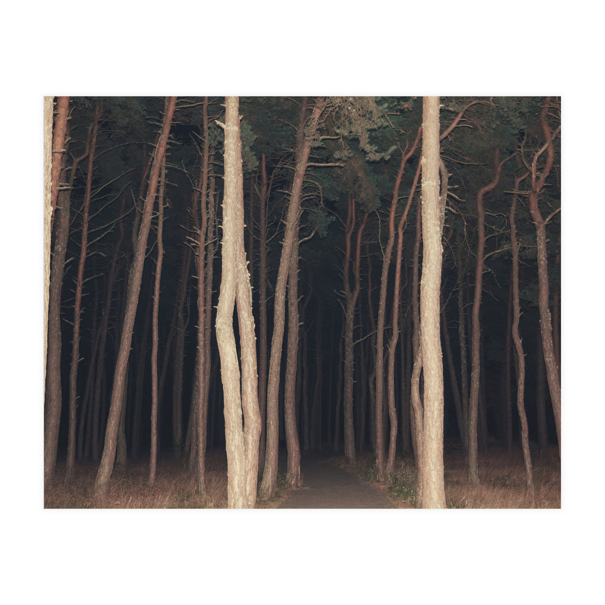 The Slender Man (Print Only)