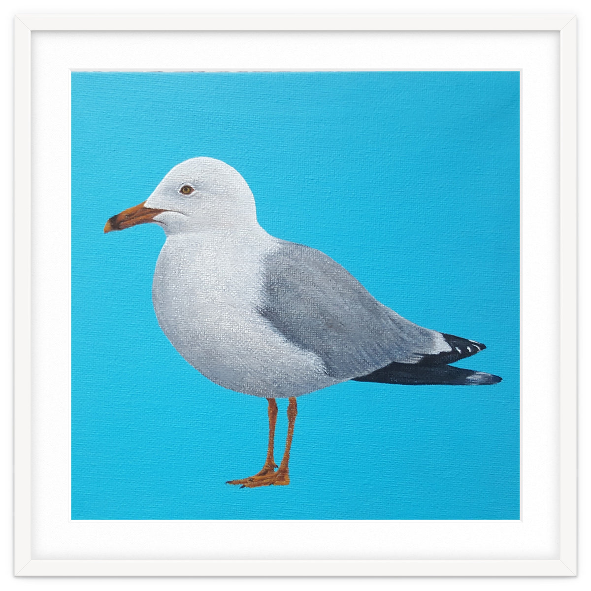 Seagull
