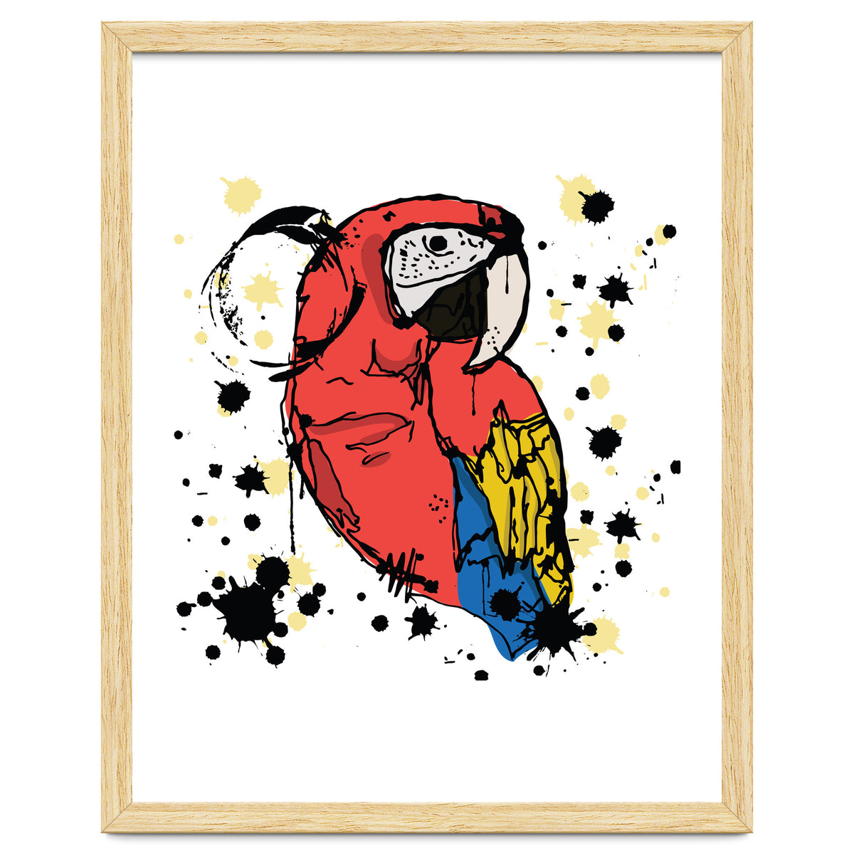 Guacamaya sketch