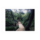 Glen Canyon Park (Print Only) thumbnail