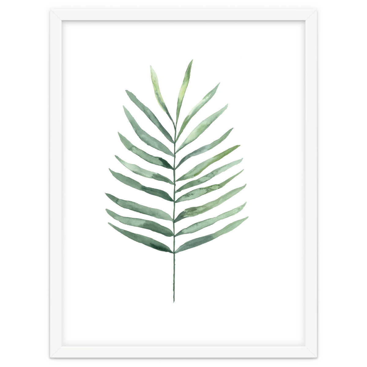 Botanical Illustration Fern
