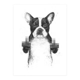 Censored Dog (Print Only) thumbnail
