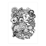 Medley Of Mushrooms (Print Only) thumbnail